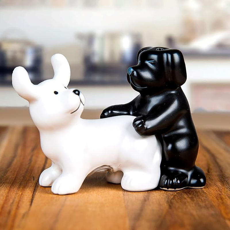 Kitchen Gadgets Novelty - Black And White Ceramic Dog Salt