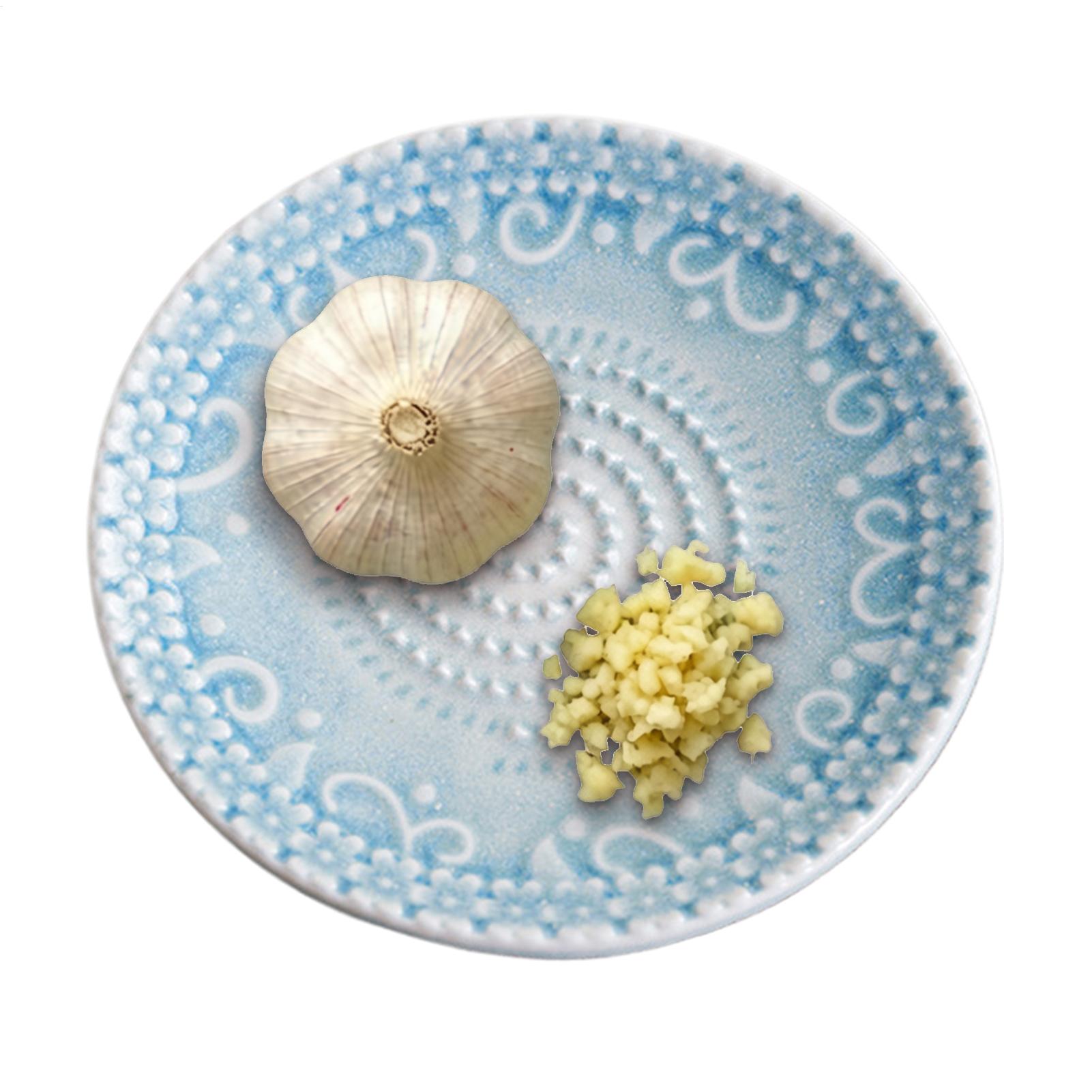 Garlic Grater Plate Cheese Shr - Kitchen Gadgets Peeler recension och pris